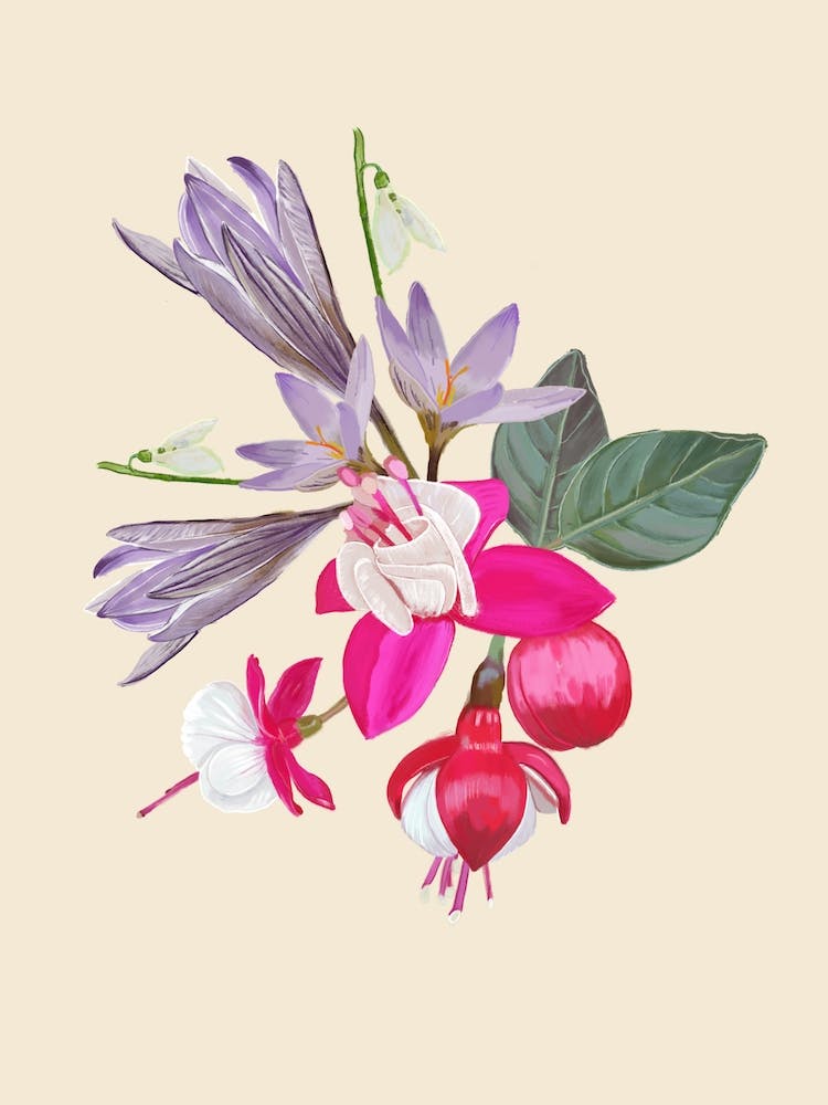 Fuchsia And Galanthus