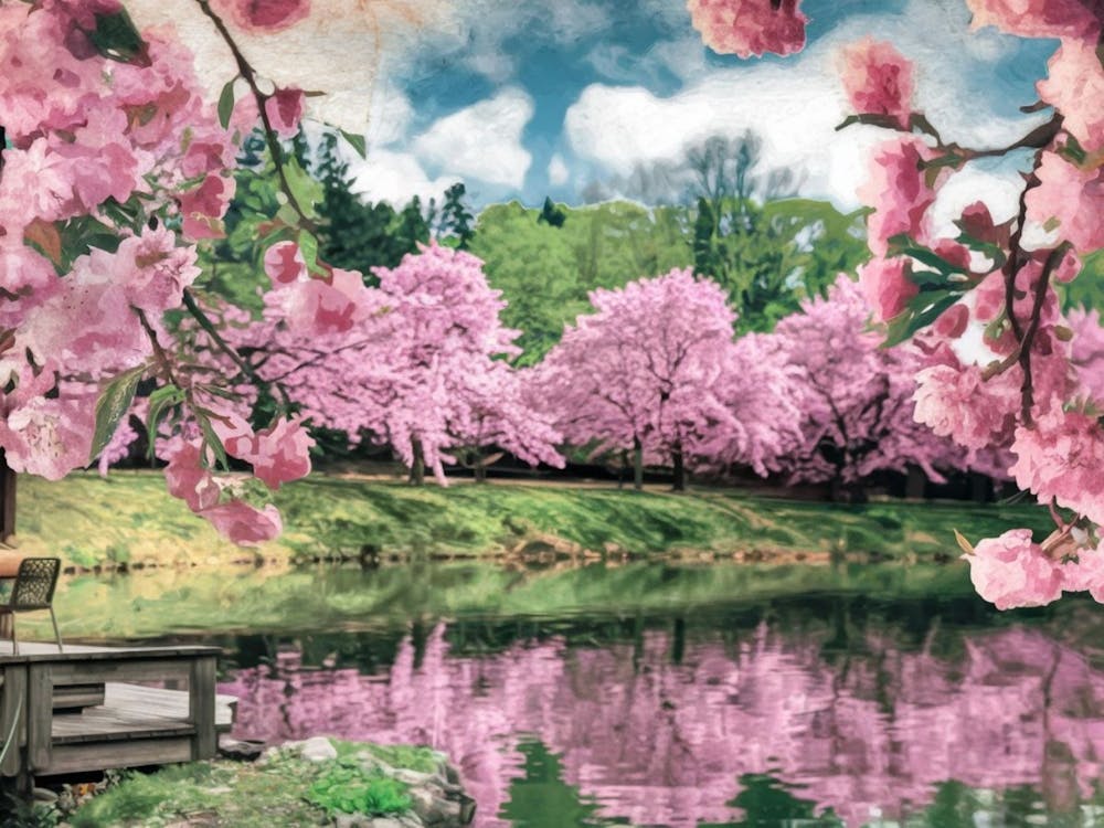Enchanted Cherry Blossom Garden - Anime Landscape