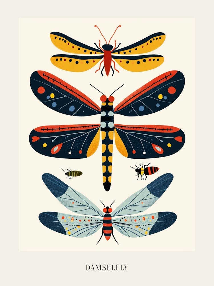 Colourful Insect Illustration Damselfly 6 Poster