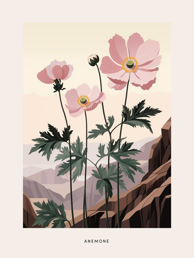 Flower Illustration Anemone 3 Poster