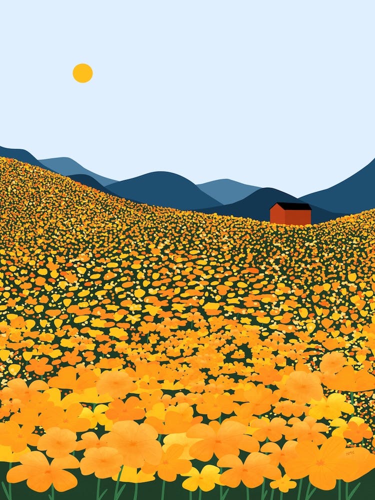 Yellow Poppy Meadow