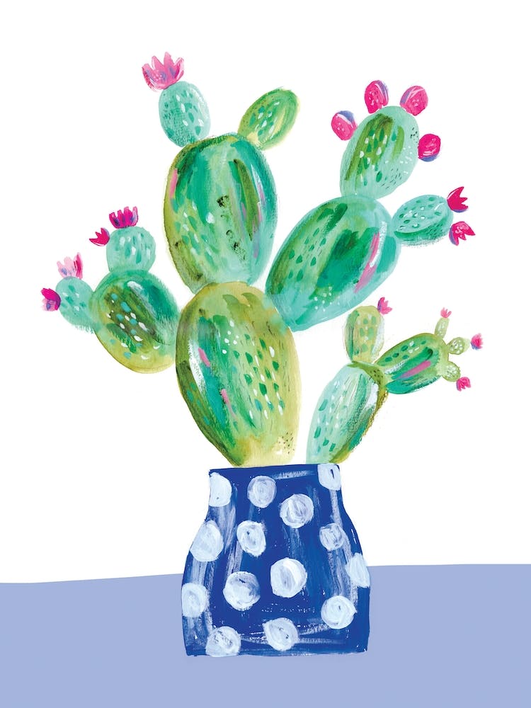 Painted Prickly Pear
