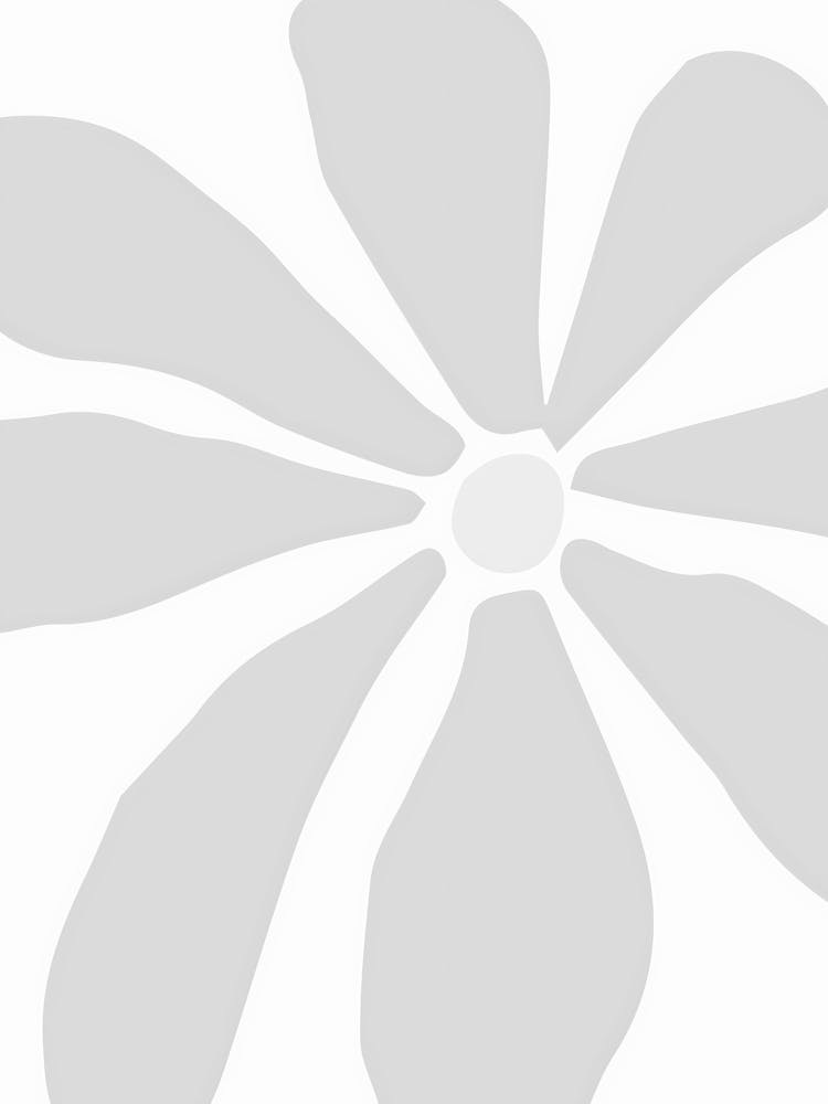 White Flower 4