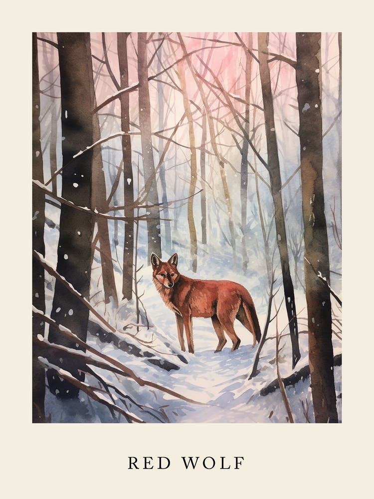 Winter Watercolour Red Wolf 1 Poster