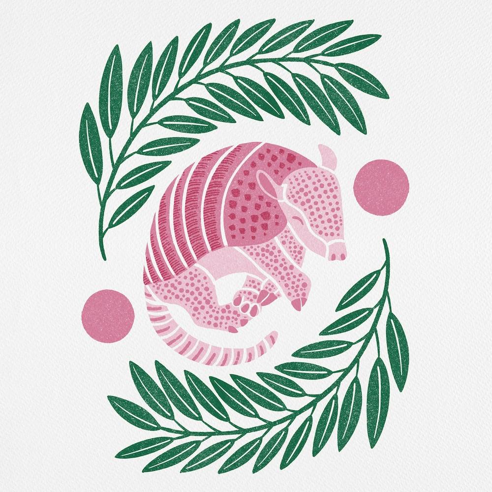 Armadillo   Pink And Green Square