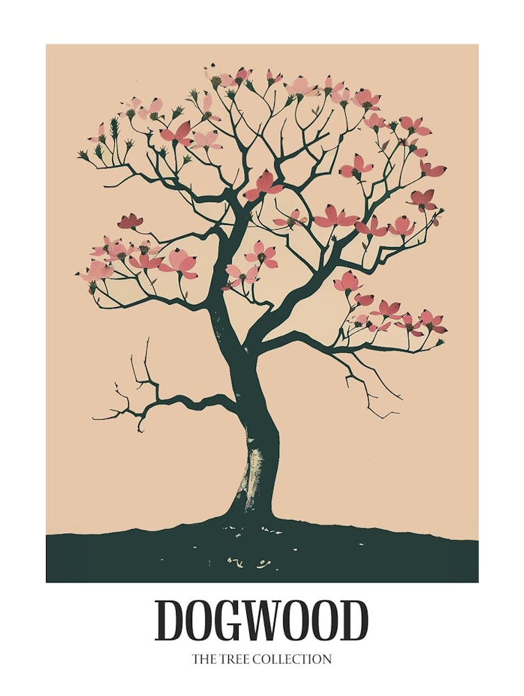 Dogwood Tree Colourful Illustration 1 Poster