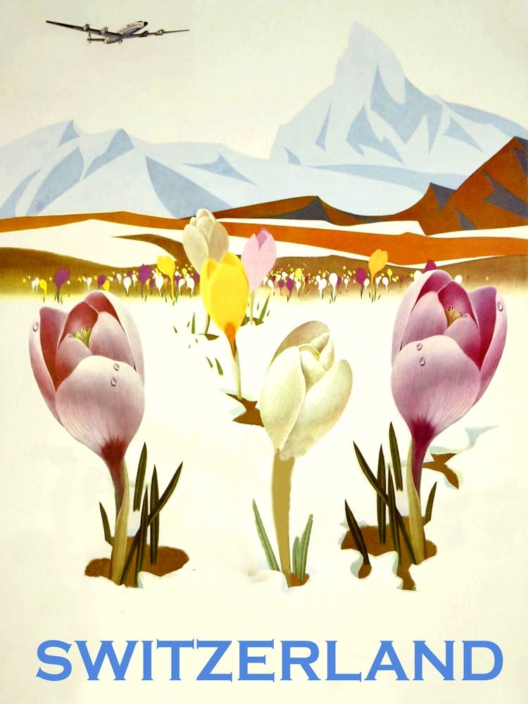 Switzerland, Tulips On A Field, Travel Poster