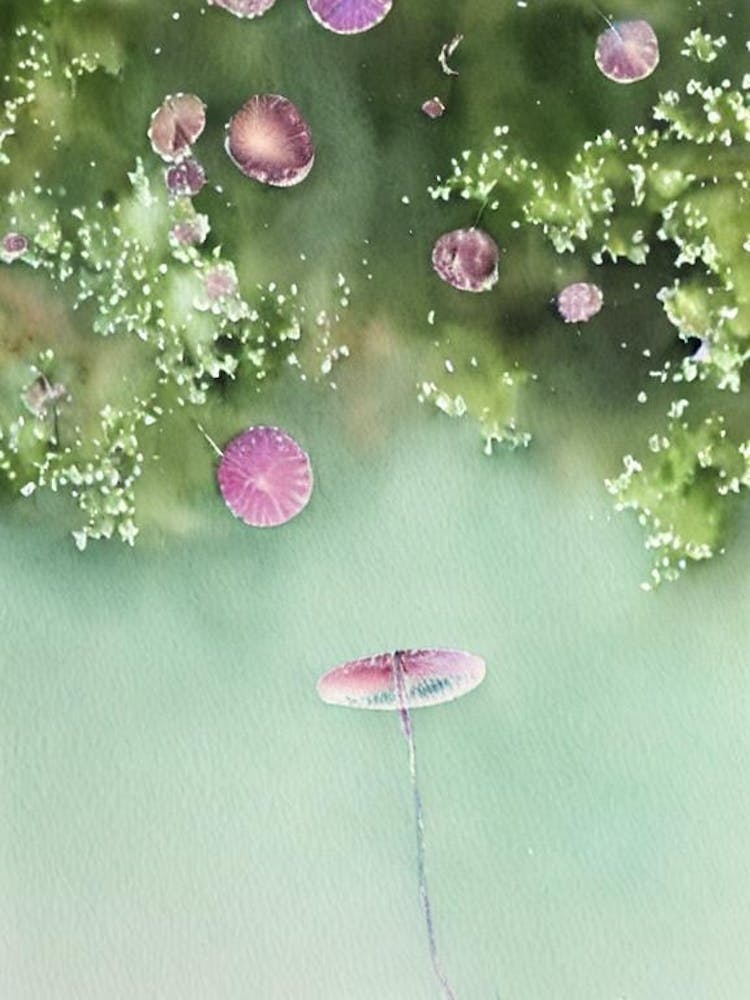 Lobed Comb Jelly Storybook Watercolour