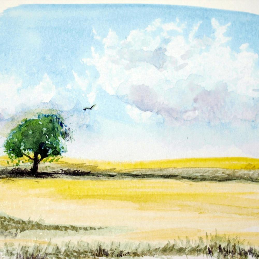 Einsamer Baum Im Feld