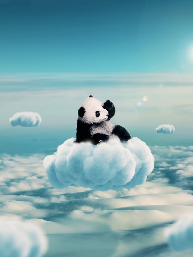 Fliegende Wolken mit Baby-Panda