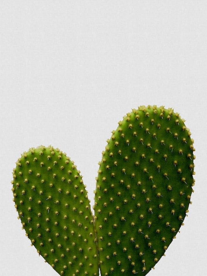 Heart Cactus