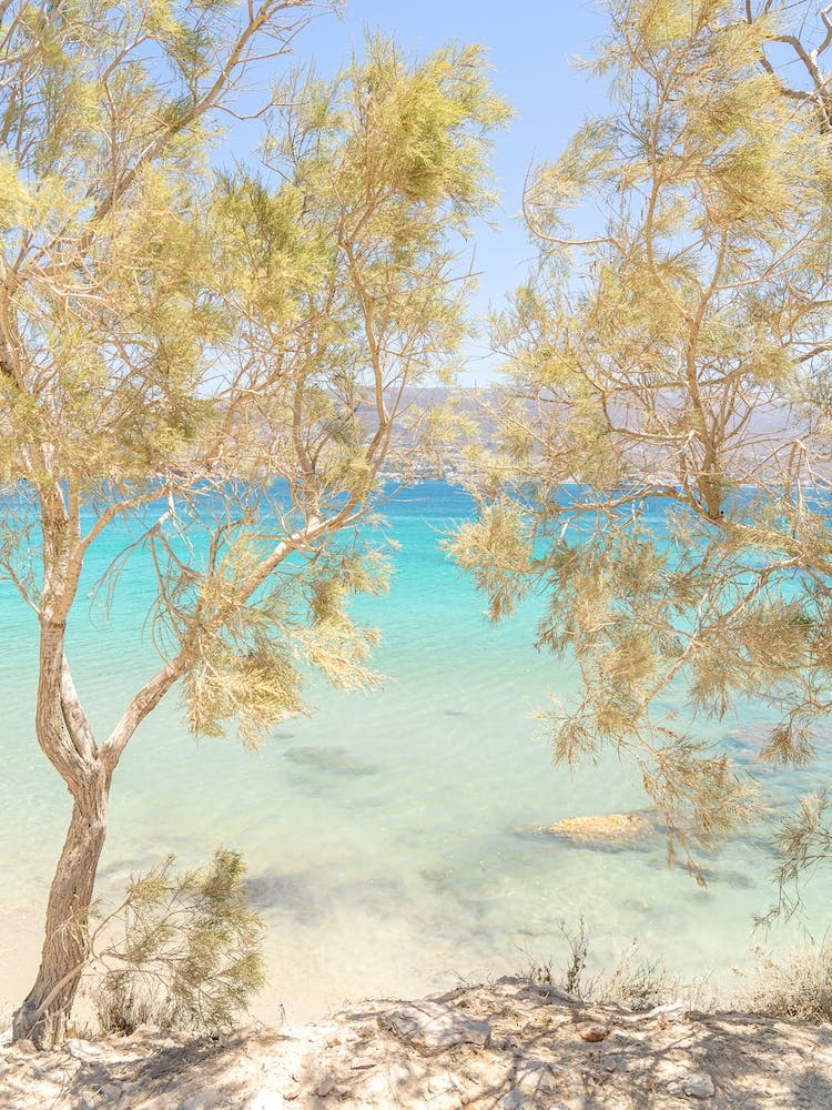 Tropical Greek Beach 1
