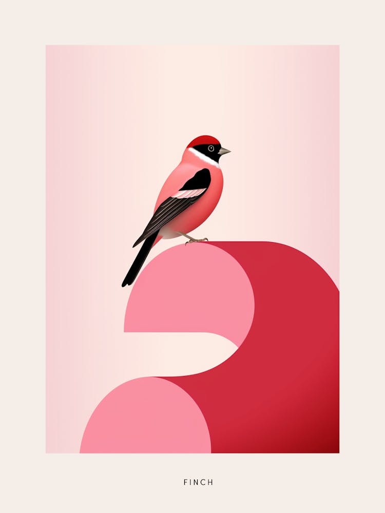 Minimalist Finch 4 Bird Poster