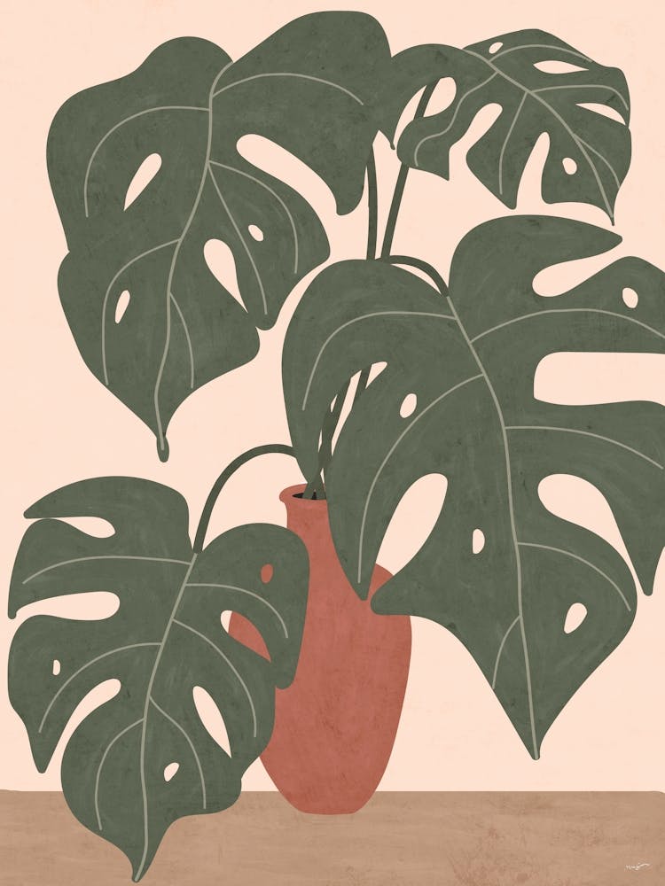 Monstera Vase