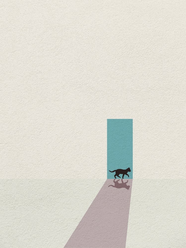 Minimal art cat Walks Through A Door