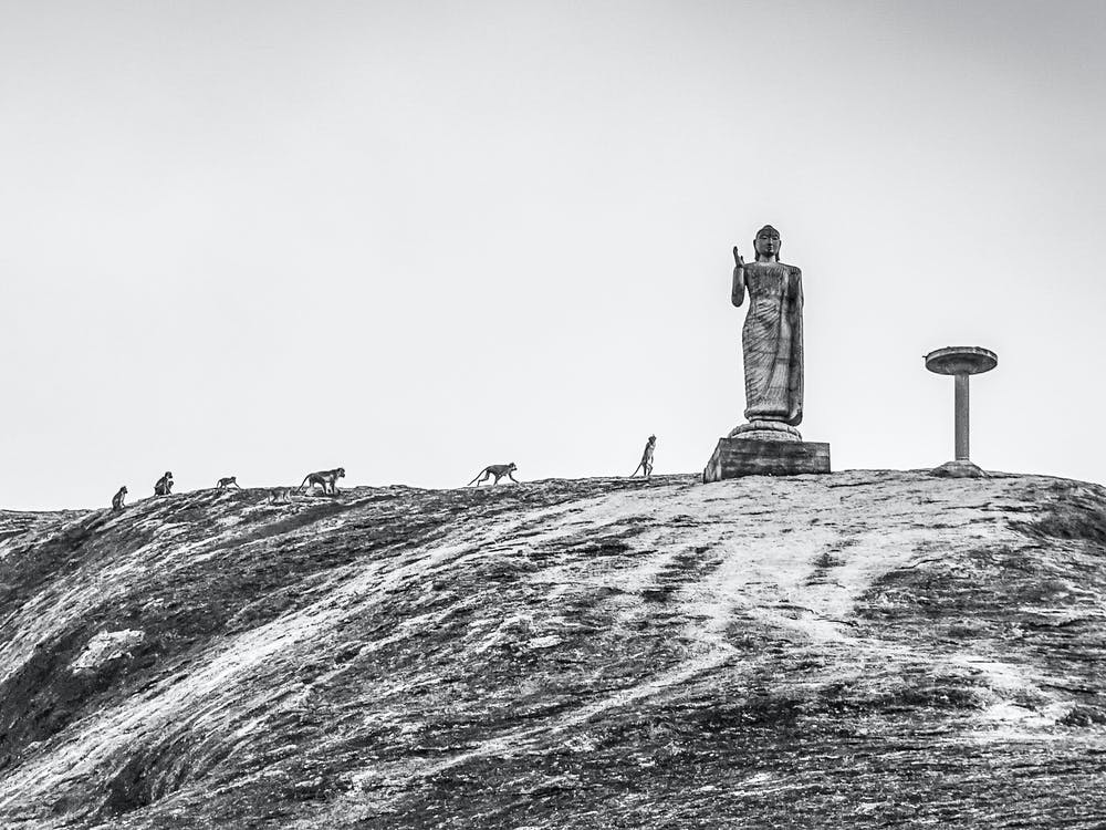 Buddha-Statue