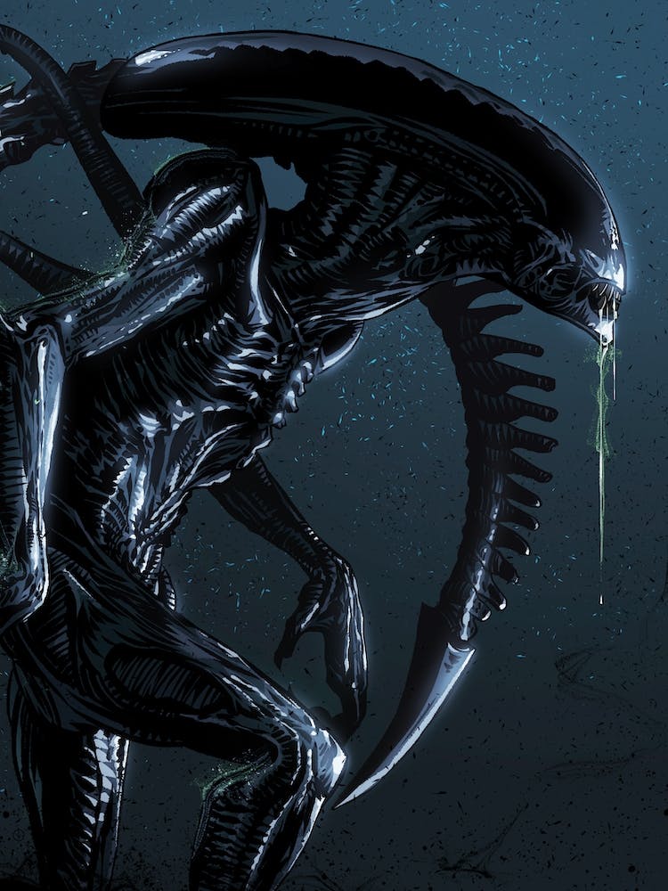 Alien Xenomorph I