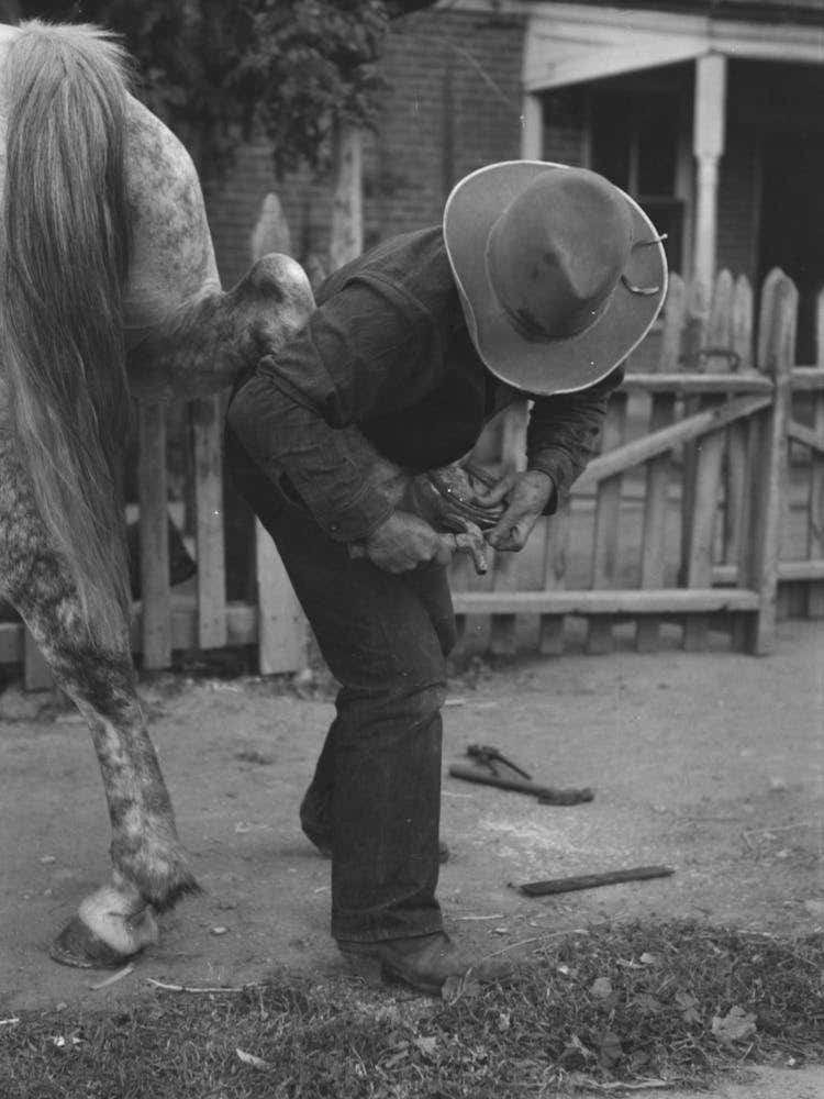 Untitled Photo, Possibly Related To Mormon Farmer Shoeing A Horse, Santa Clara, Utah By Russell Lee 3