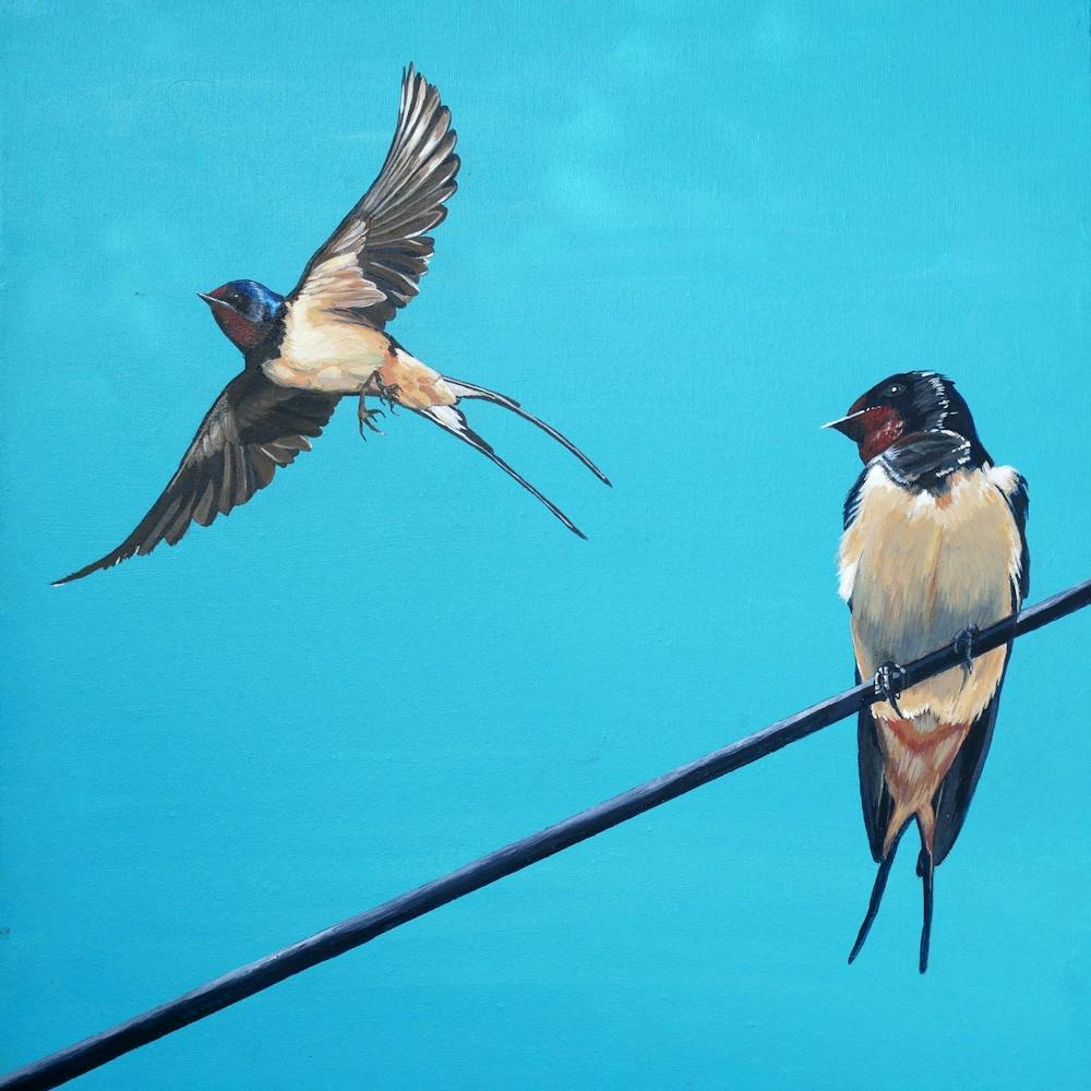 Two Swallows make a Spring