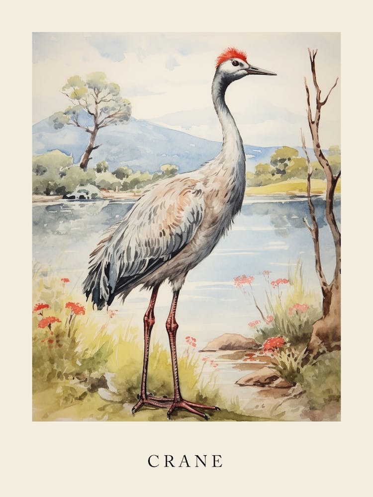 Beatrix Potter inspiriert Tier-Aquarell Kranich 3