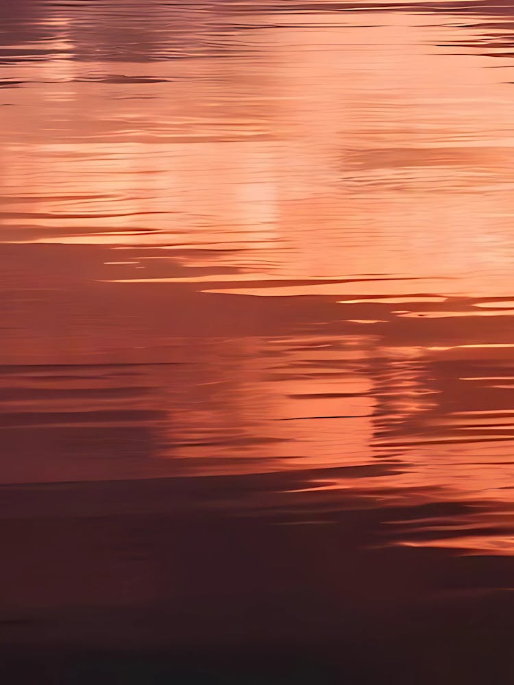 Sunset Reflection In Water