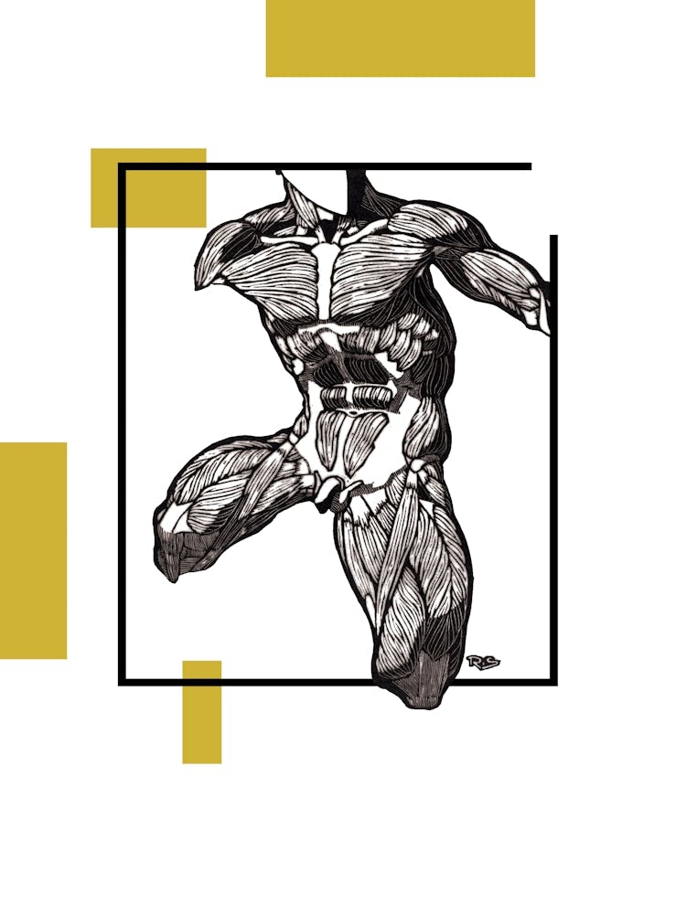 Male Nude II (Set of 8)