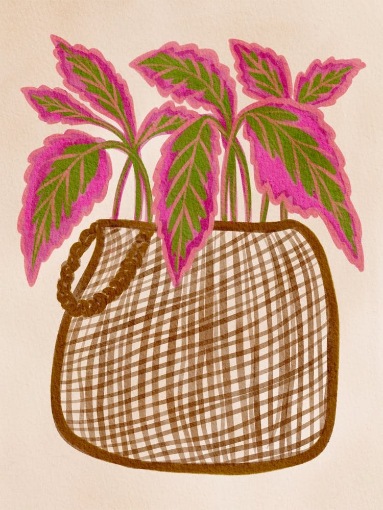Wicker Basket