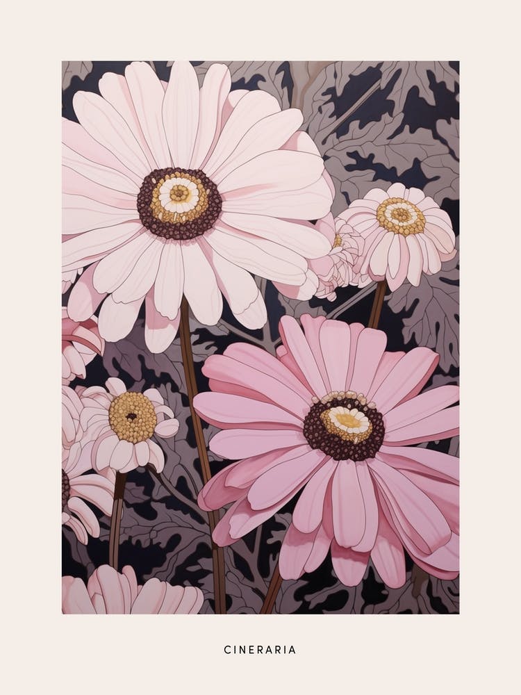 Flower Illustration Cineraria 4 Poster