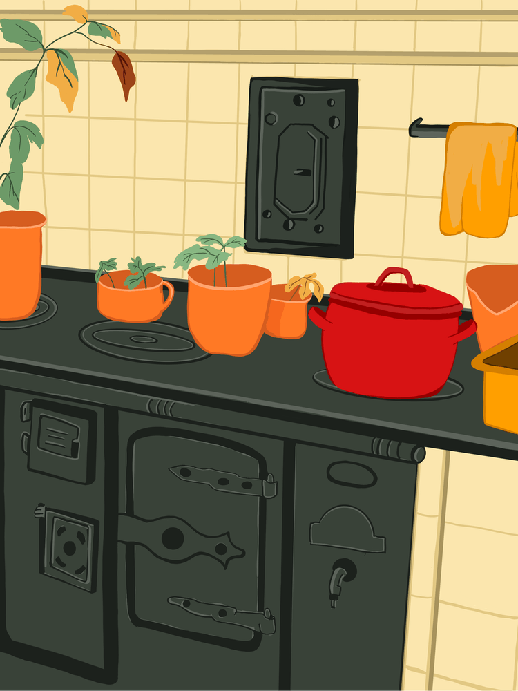 Kitchen in winter II