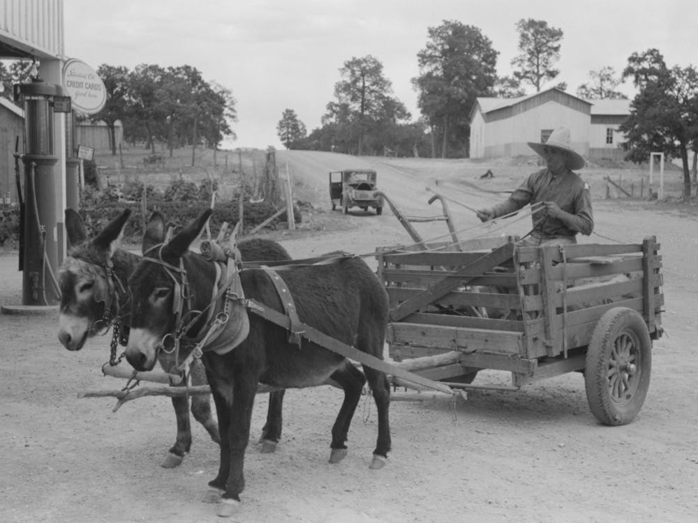 Untitled Photo, Possibly Related To Mr
