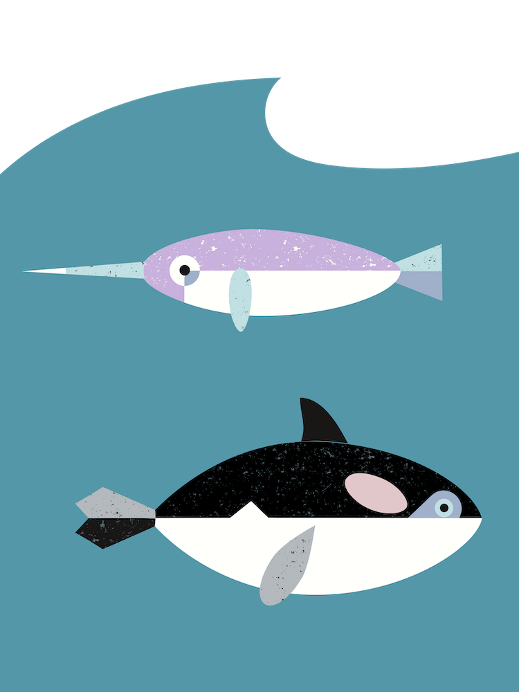 Undersea orca and narwhale Scandinavian style - Arctic animals