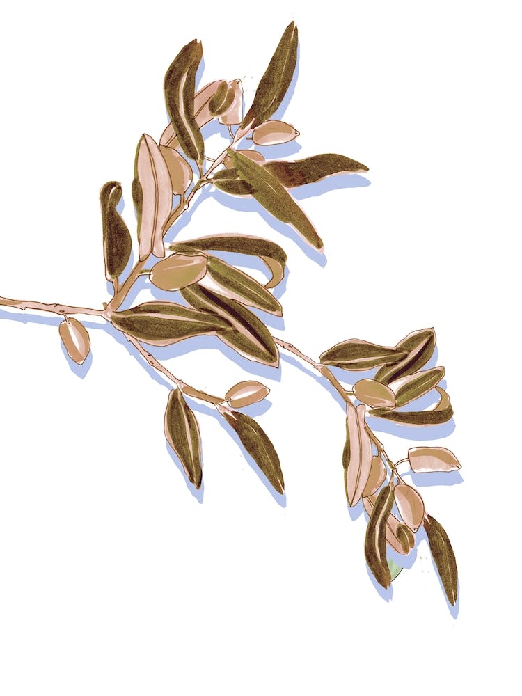 Olives