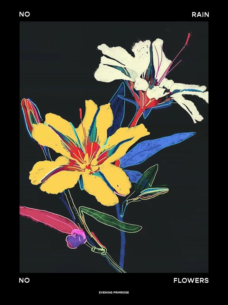No Rain No Flowers Poster Evening Primrose 2
