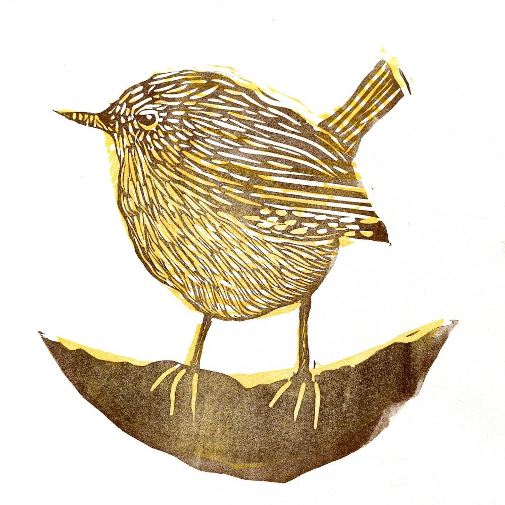 Wren Linocut Square