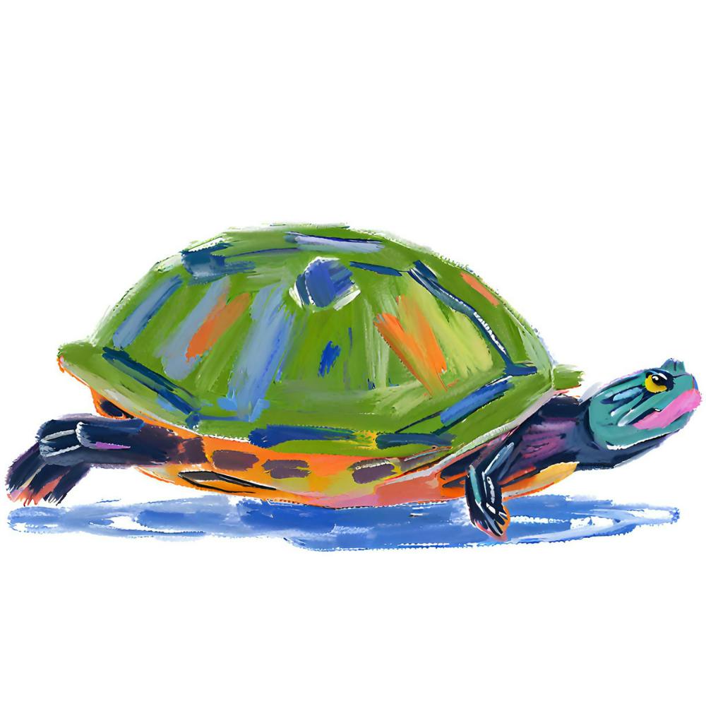 Painted Turtle 04