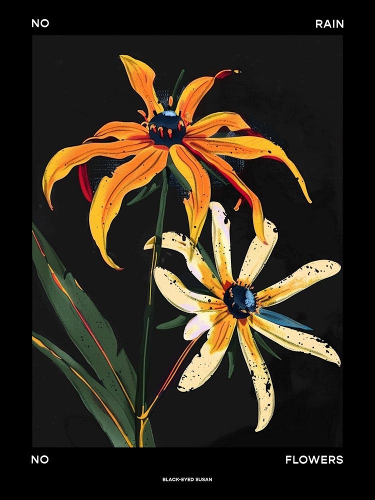 No Rain No Flowers Poster Black Poster Eyed Susan 3