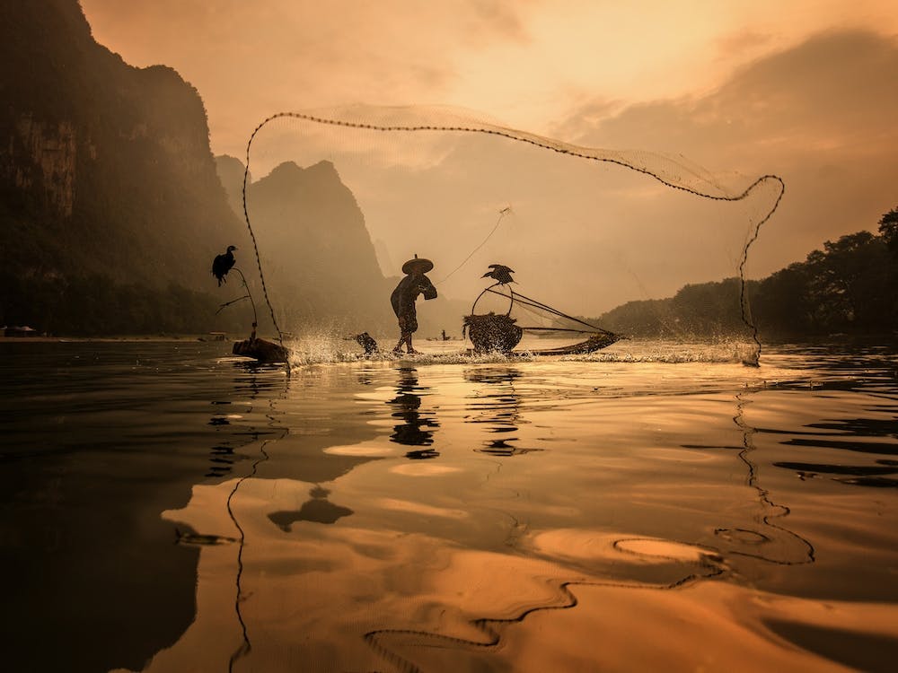 Spread The Fish Nets