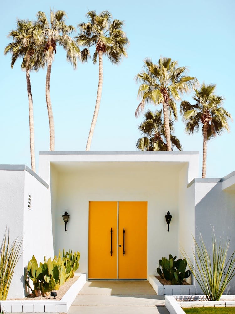 Welcome To Palm Springs