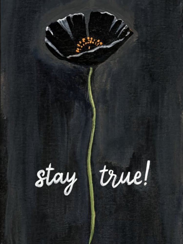 Stay True