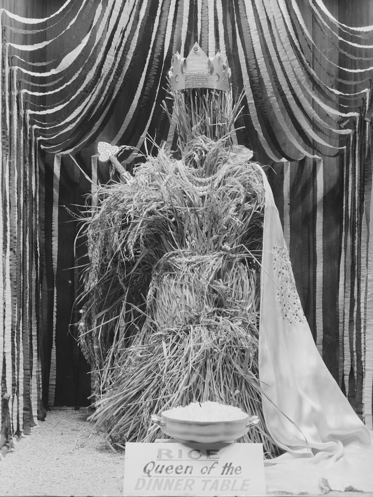 Symbol Of Rice, National Rice Festival, Crowley, Louisiana, Display Window By Russell Lee