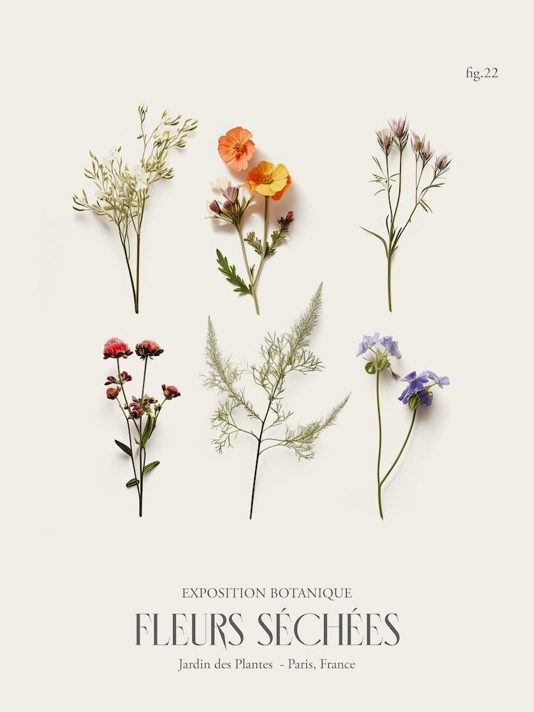 Fleurs Sechees, Dried Flowers Exhibition Poster 22