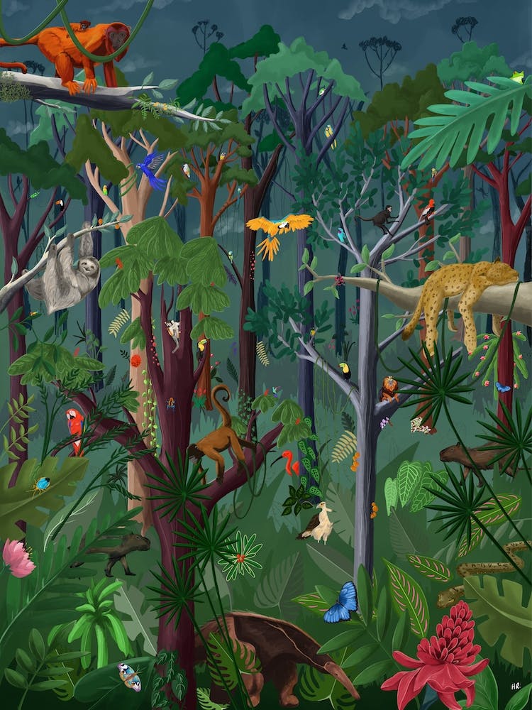 Rainforest Mood
