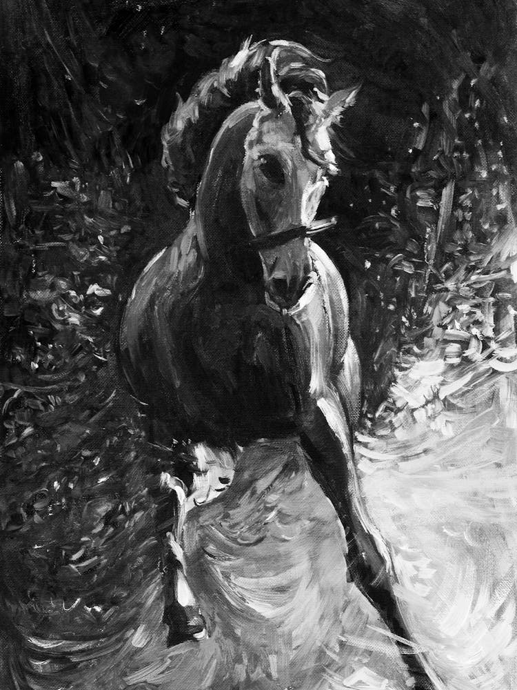 Horse Running In The Night