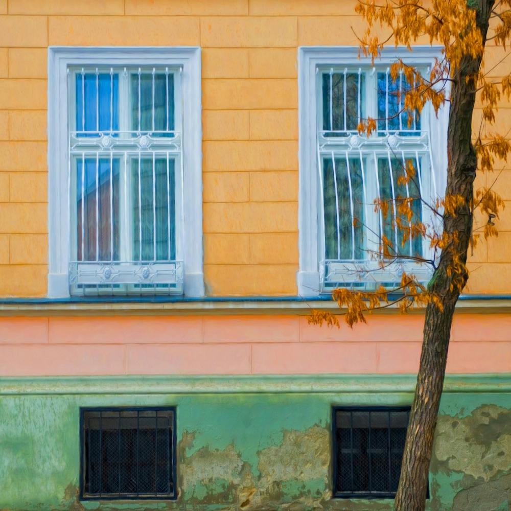 Windows And A Tree Of Autumn Square