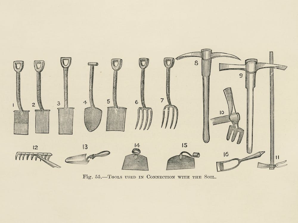 Vintage Illustration Of Tools, John Wright