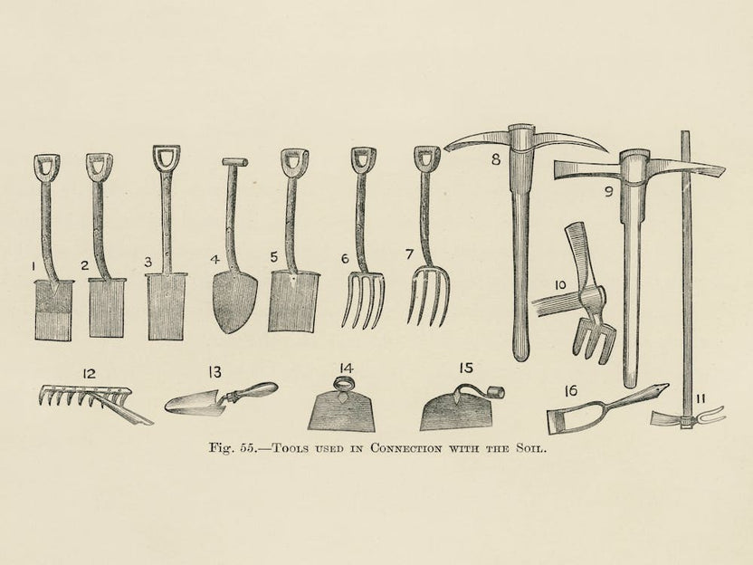Vintage Illustration Of Tools, John Wright