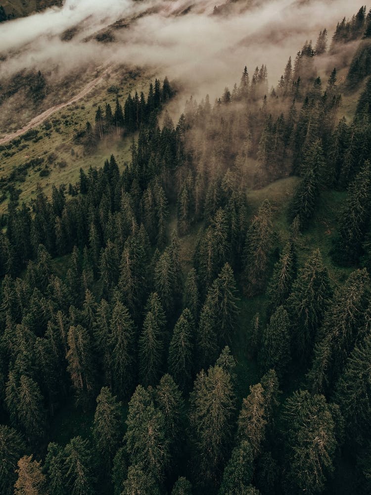 Calm Mornings And Clouds