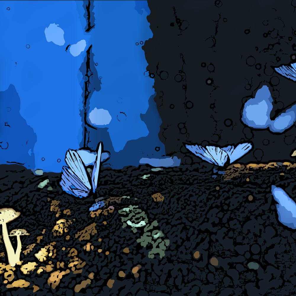 Blue Butterflies