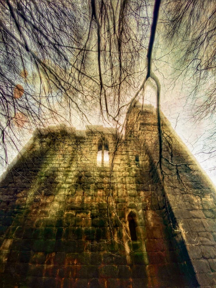 The Castle