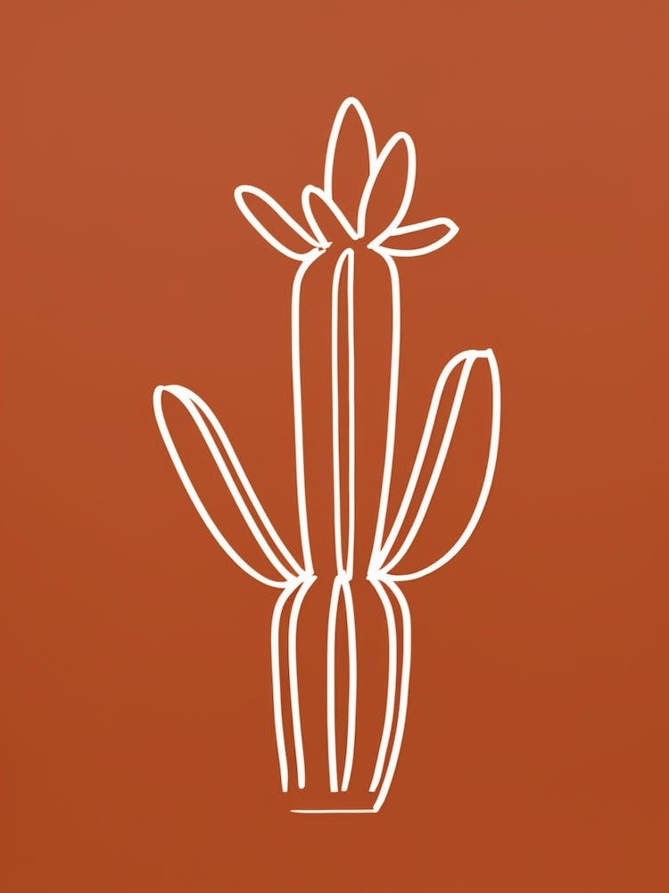 Cactus Line Drawing Gymnocalycium Cactus 2